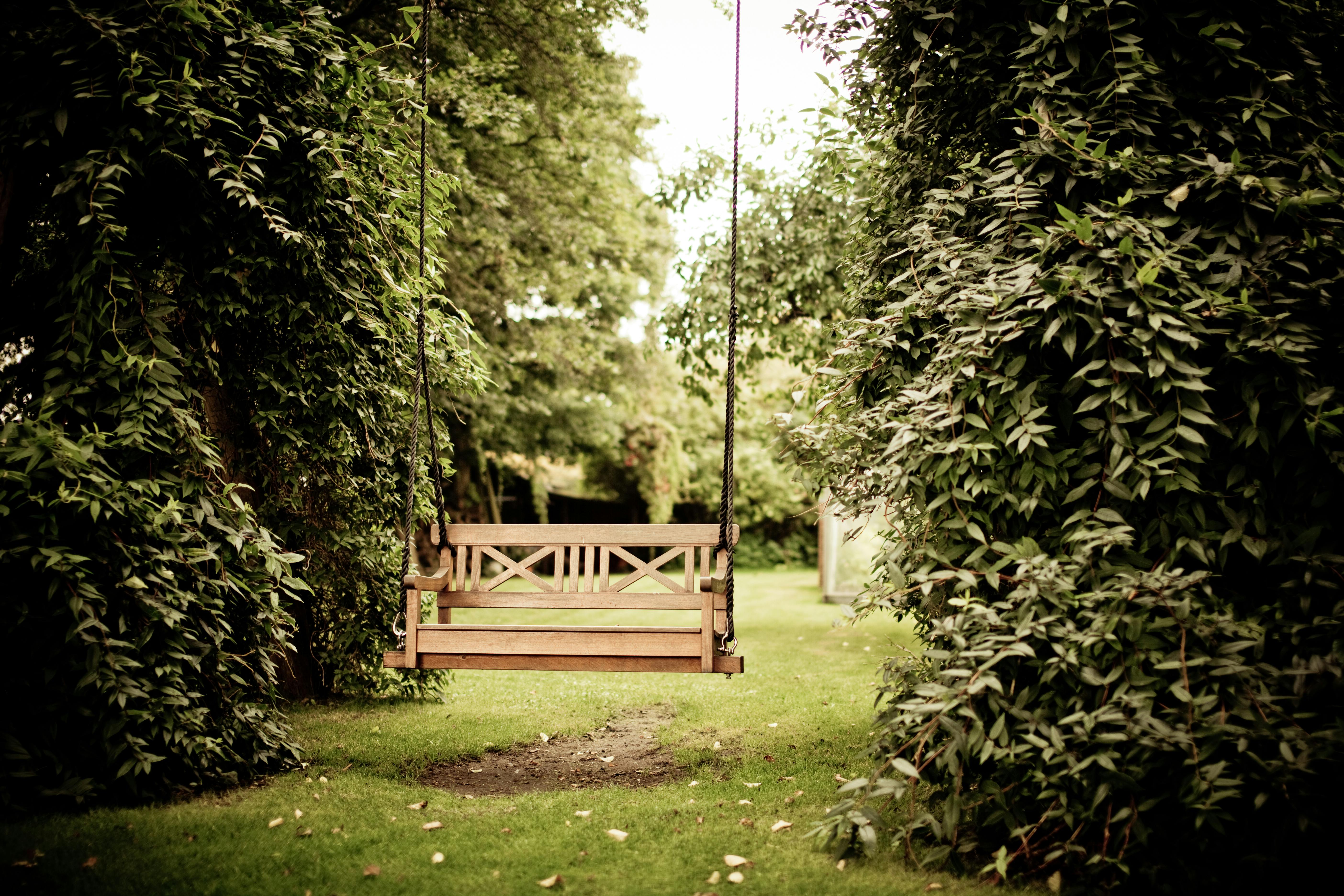 A wooden swing surrounded by greenery